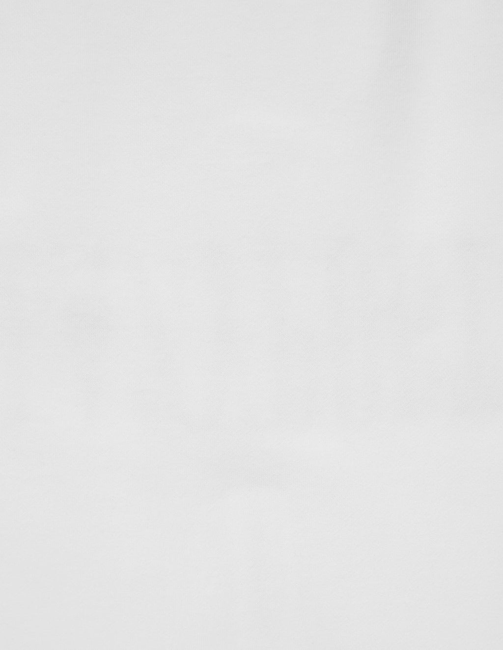 LSC 1/4 Zip Sweat (White)