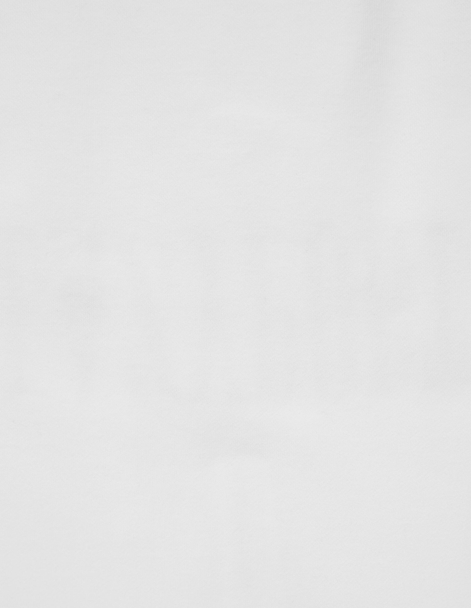 LSC 1/4 Zip Sweat (White)